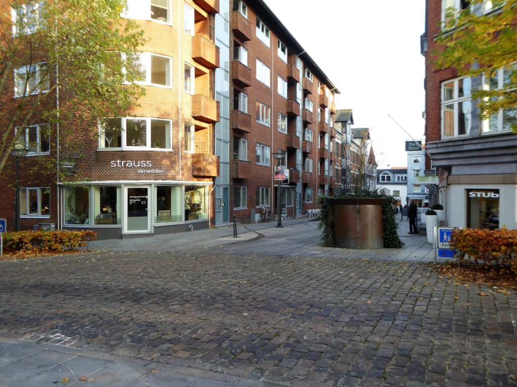 Orla Lehmannsgade november 2018